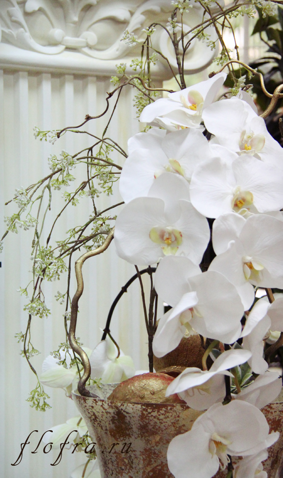 ваза витрина украшение кемерово орхидея стиль классика интерьер 